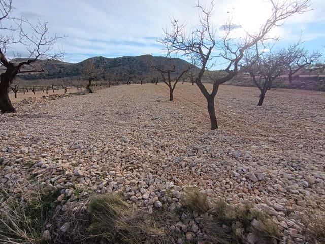 Building Plot for sale in La Canalosa, Hondón de las Nieves - € 39,950 (Ref: 9542190)