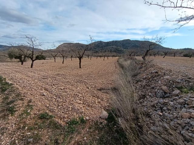Building Plot for sale in La Canalosa, Hondón de las Nieves - € 39,950 (Ref: 9542190)
