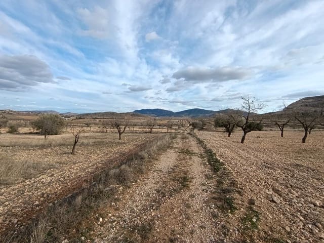 Building Plot for sale in La Canalosa, Hondón de las Nieves - € 39,950 (Ref: 9542190)