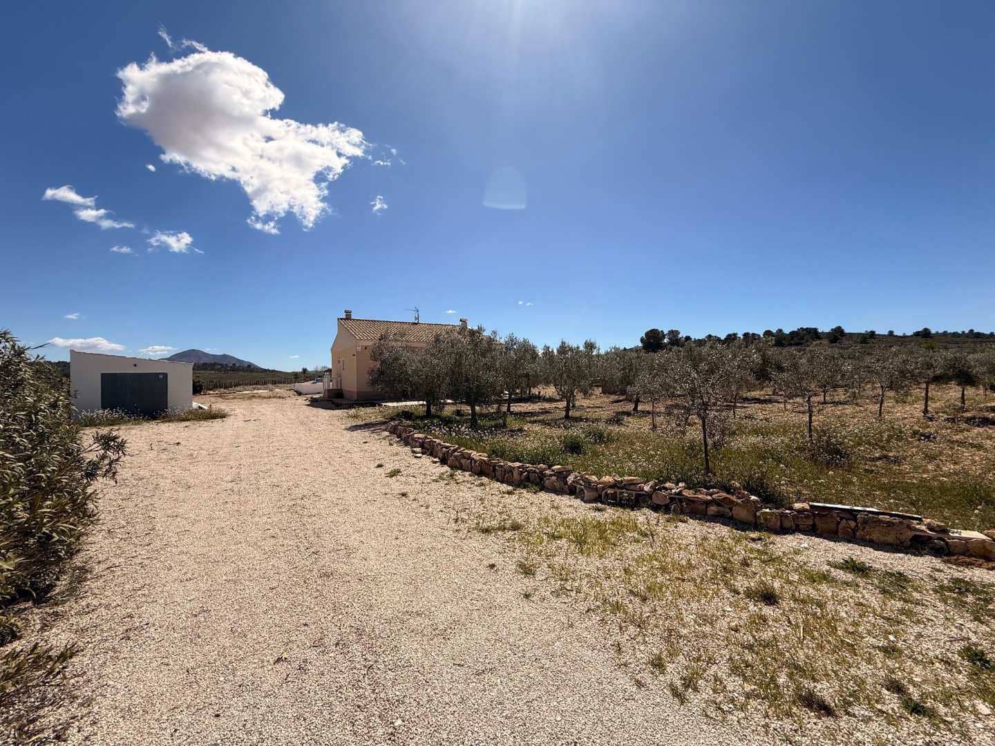 3 bedroom Villa for sale in Pinoso with pool - € 350,000 (Ref: 9749213)