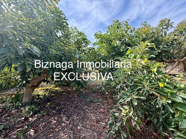 Grunde uden byggetilladelser til salg i Urbanización Santa Rosa, Torrox - € 198.000 (Ref: 9340047)