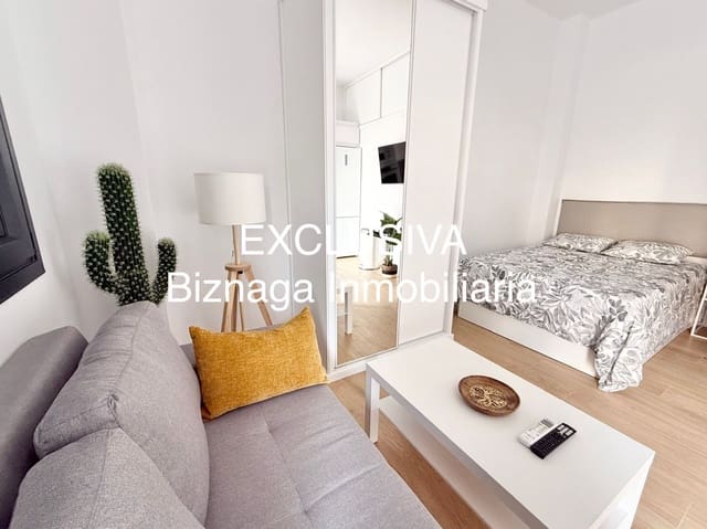 Studio for rent in Torrox-Costa, Torrox - € 650 (Ref: 9570763)