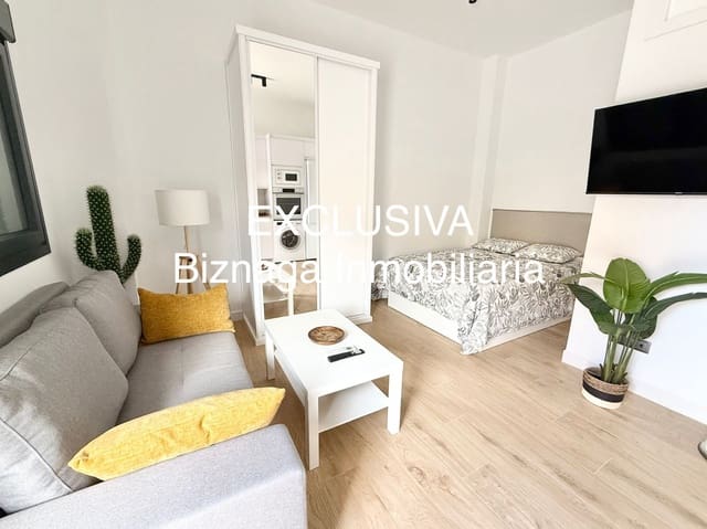 Studio for rent in Torrox-Costa, Torrox - € 650 (Ref: 9570763)