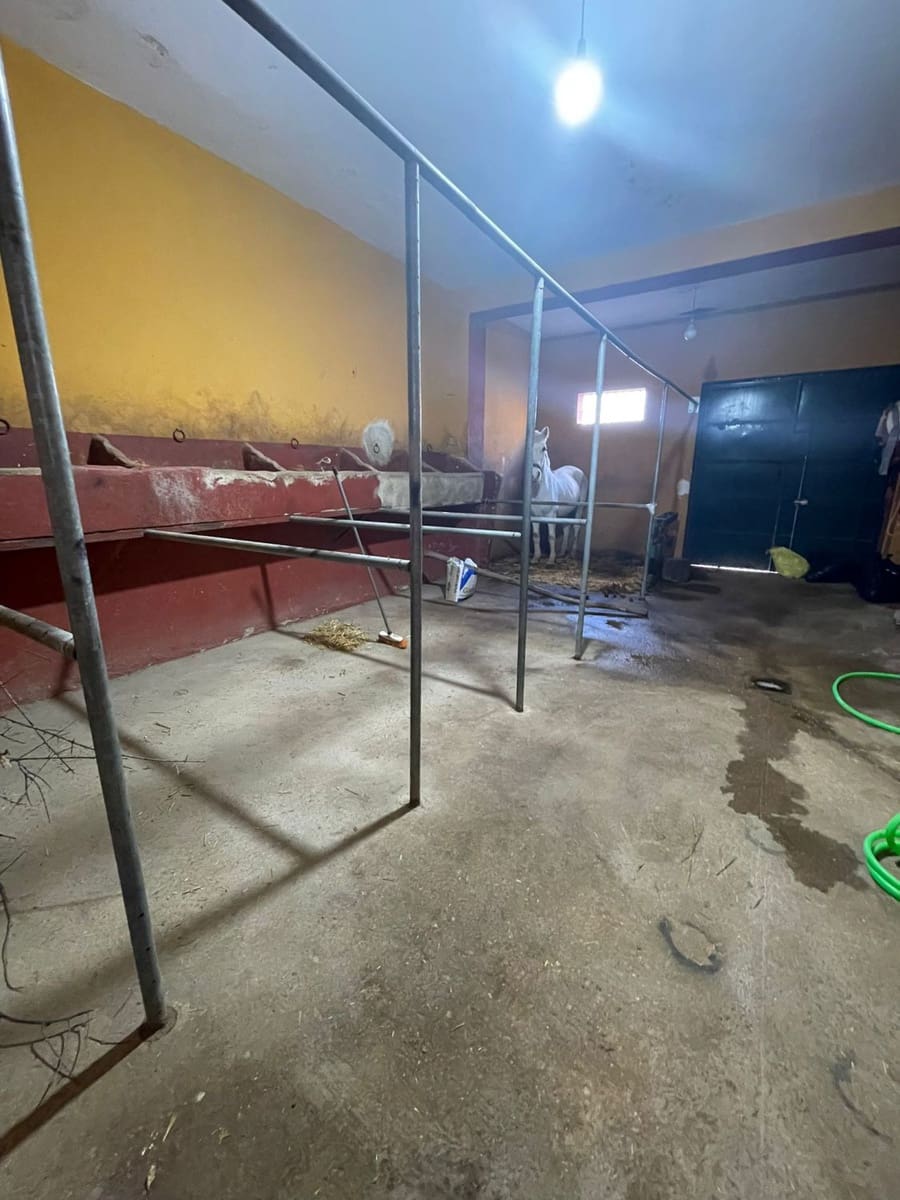 7 quarto Casa em Banda para venda em El Rocio - 620 000 € (Ref: 9622790)