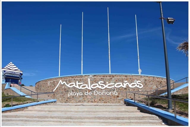 Local Commercial à vendre à Matalascañas, Almonte - 140 000 € (Ref: 9622806)