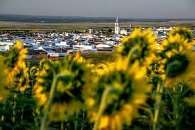 Grond te koop in La Palma del Condado - € 650.000 (Ref: 9622822)