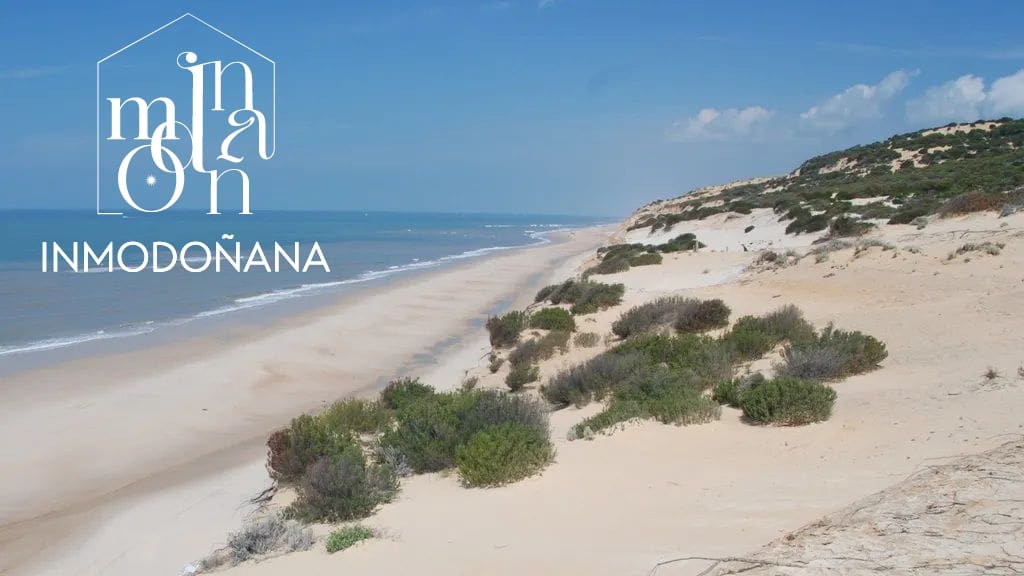 Grond te koop in Matalascanas - € 500.000 (Ref: 9622832)