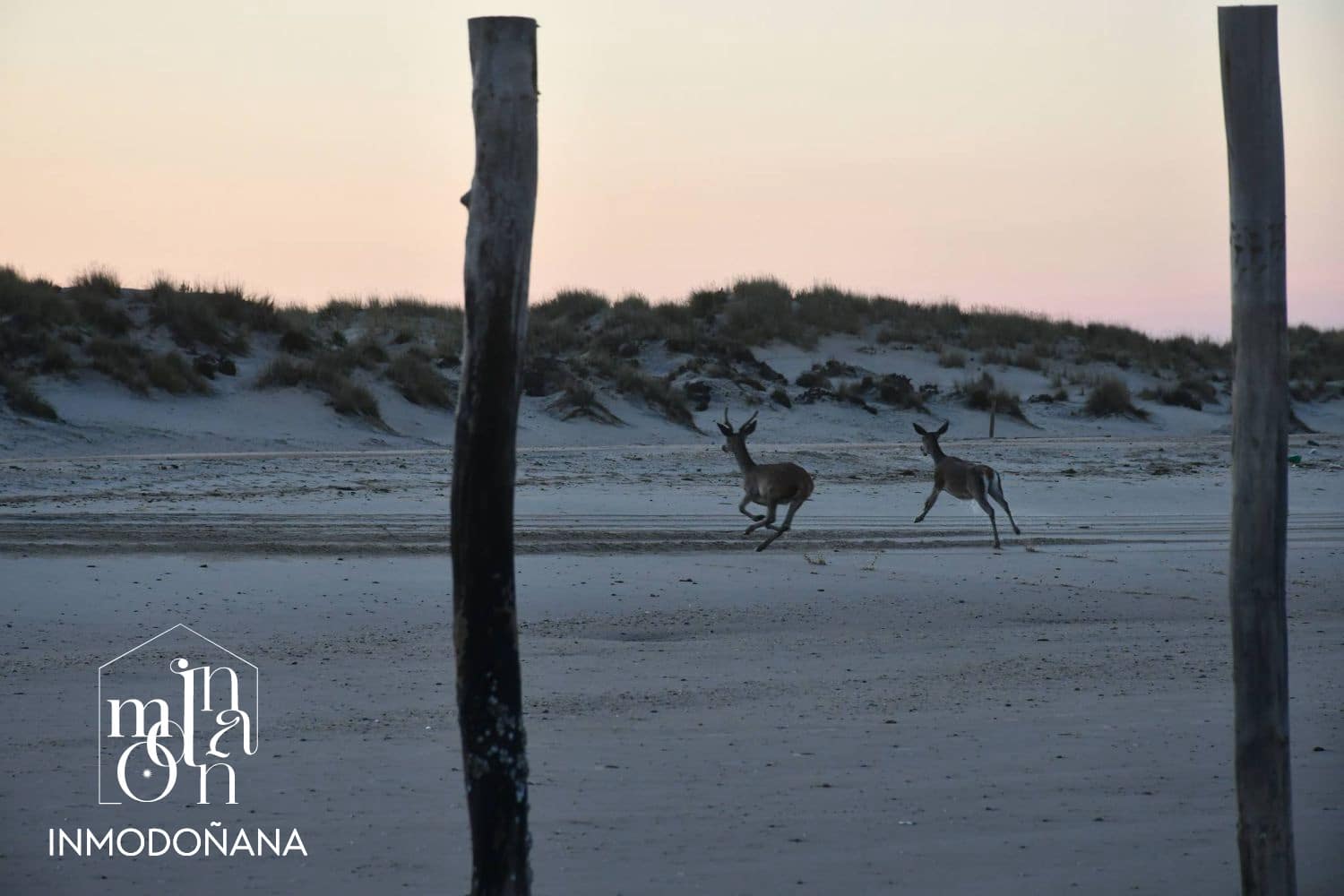 Grond te koop in Matalascanas - € 500.000 (Ref: 9622832)