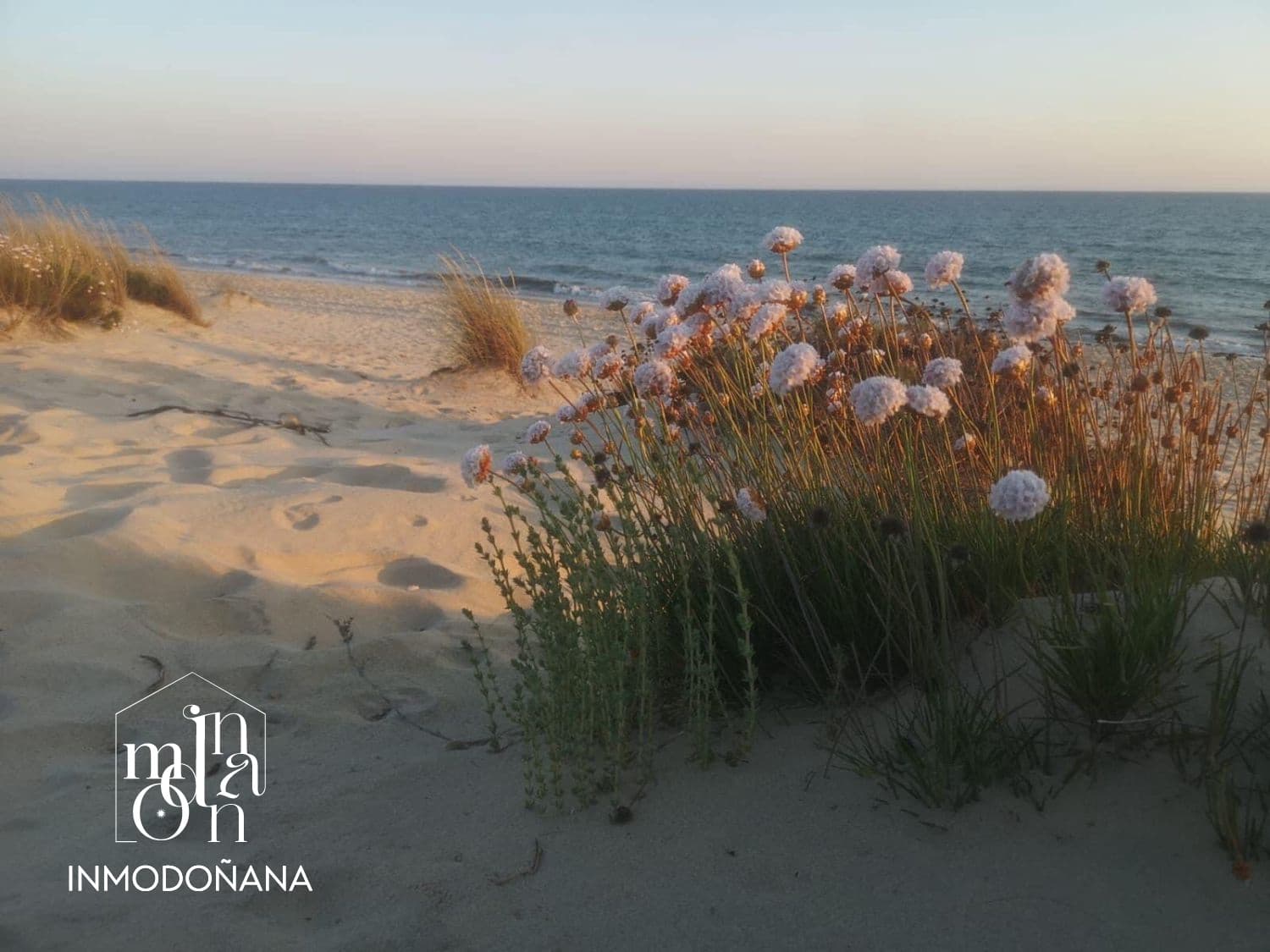 Grond te koop in Matalascanas - € 500.000 (Ref: 9622832)