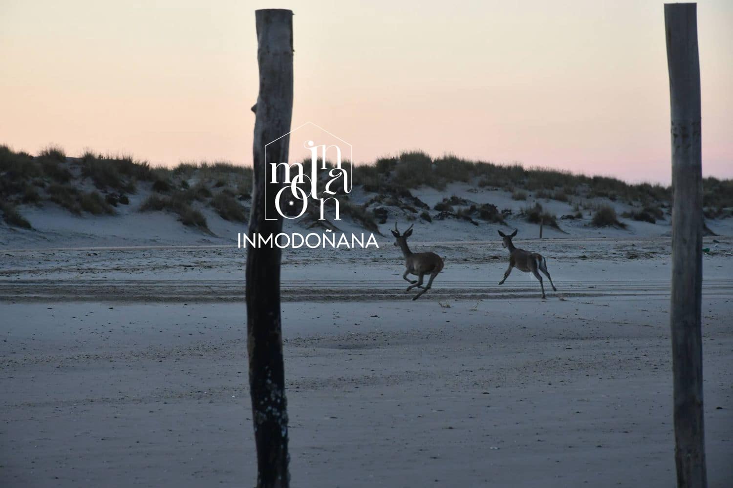 5 quarto Moradia para venda em Matalascanas - 395 000 € (Ref: 9622841)