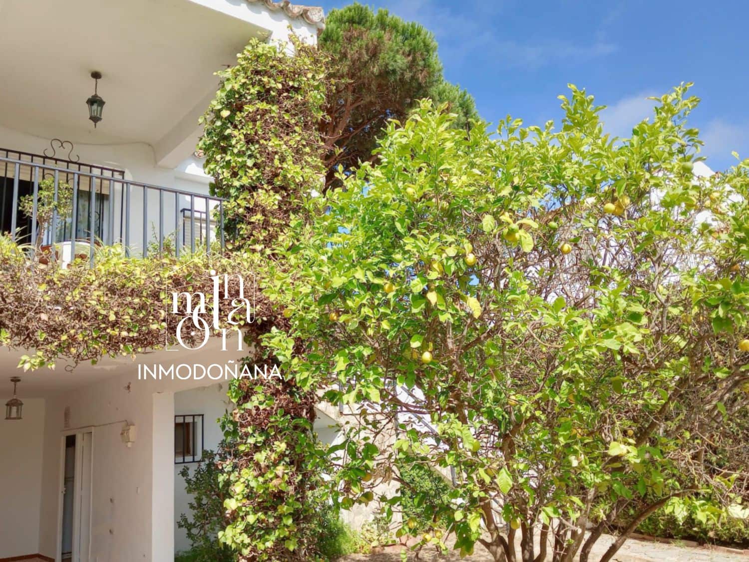 5 quarto Moradia para venda em Matalascanas - 395 000 € (Ref: 9622841)