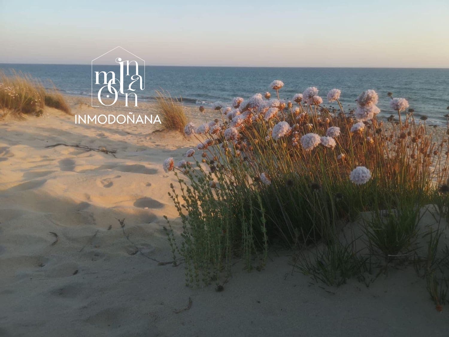 2 bedroom Commercial for rent in Matalascanas - € 13,000 (Ref: 9622843)