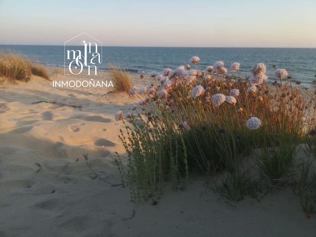 2 bedroom Commercial for rent in Matalascañas, Almonte - € 13,000 (Ref: 9622843)