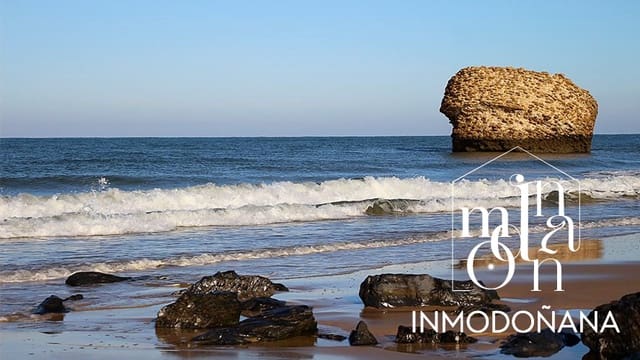 Kommersiell til salgs i Matalascañas, Almonte - € 100 000 (Ref: 9622862)