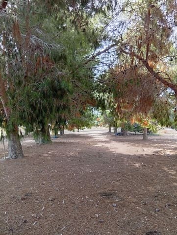 Mark till salu i Daya Nueva - 98 000 € (Ref: 10101291)