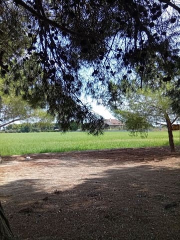 Mark till salu i Daya Nueva - 98 000 € (Ref: 10101291)