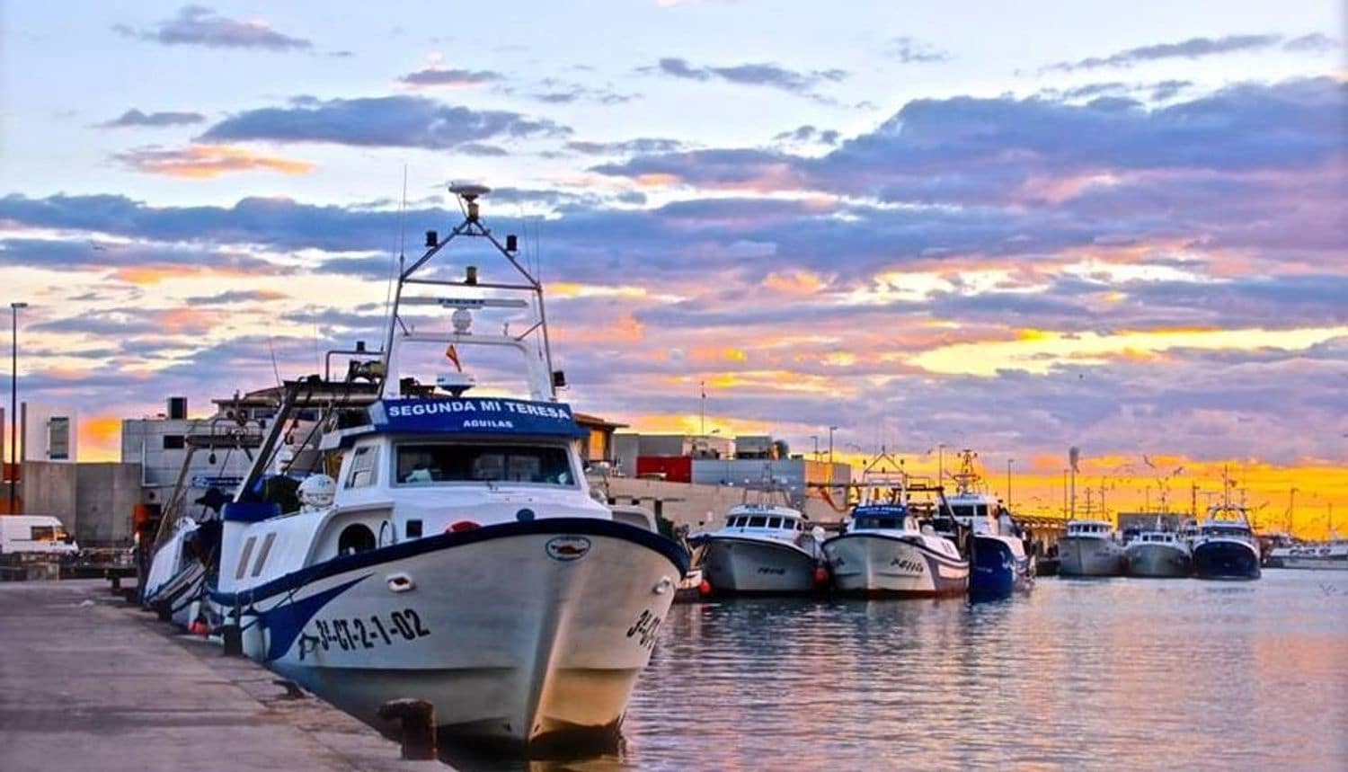 Mark till salu i Santa Pola - 160 000 € (Ref: 10101292)