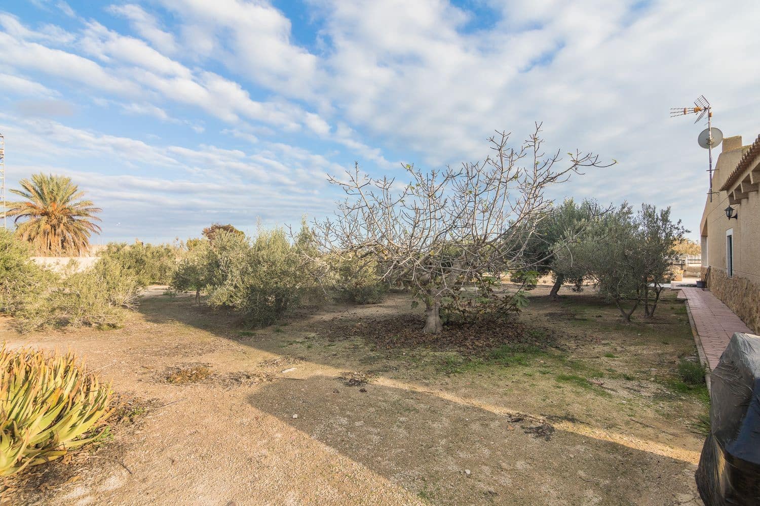 4 bedroom Finca/Country House for sale in Elche / Elx with garage - € 370,000 (Ref: 8697739)