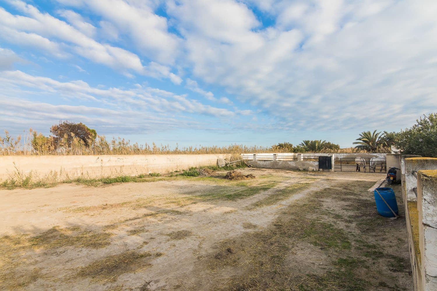 4 bedroom Finca/Country House for sale in Elche / Elx with garage - € 370,000 (Ref: 8697739)