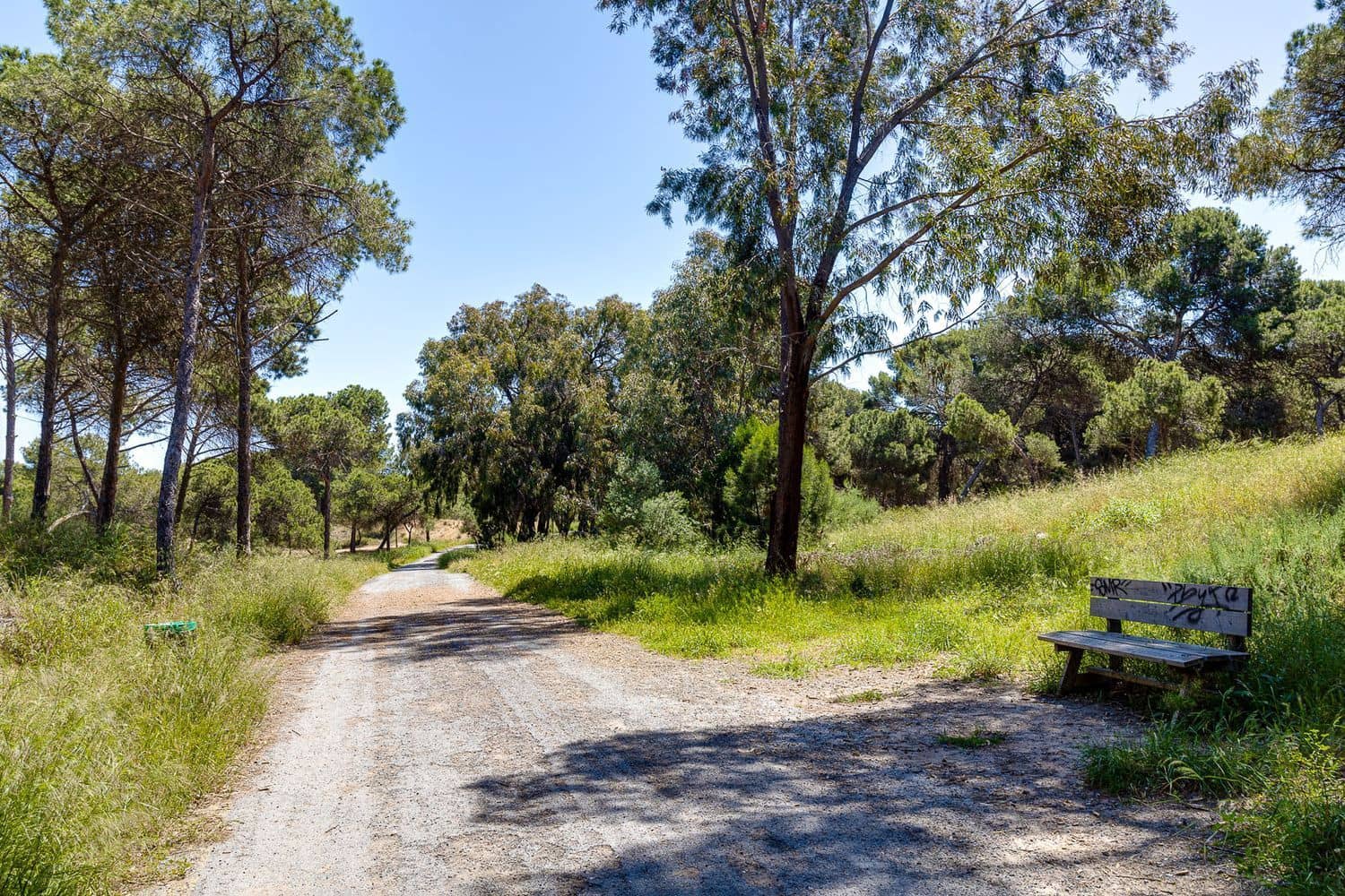 Undeveloped Land for sale in San Fulgencio - € 29,000 (Ref: 9264011)