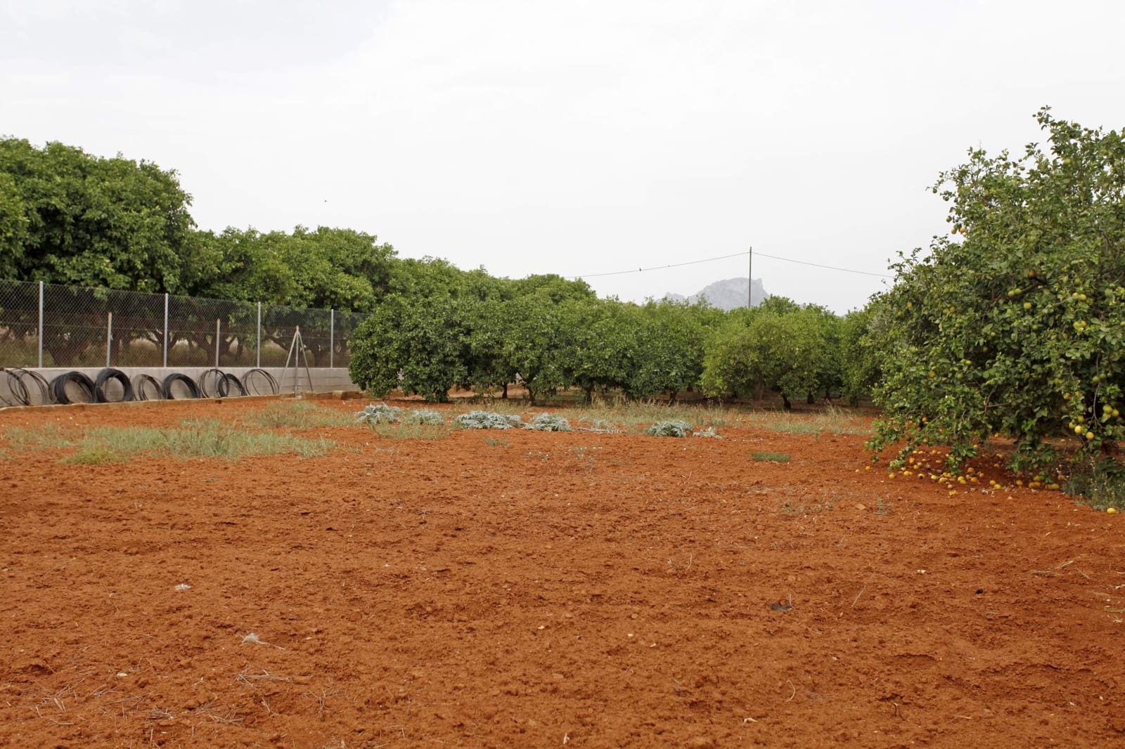 4 soverom Villa til salgs i Denia med svømmebasseng garasje - € 749 000 (Ref: 8245817)