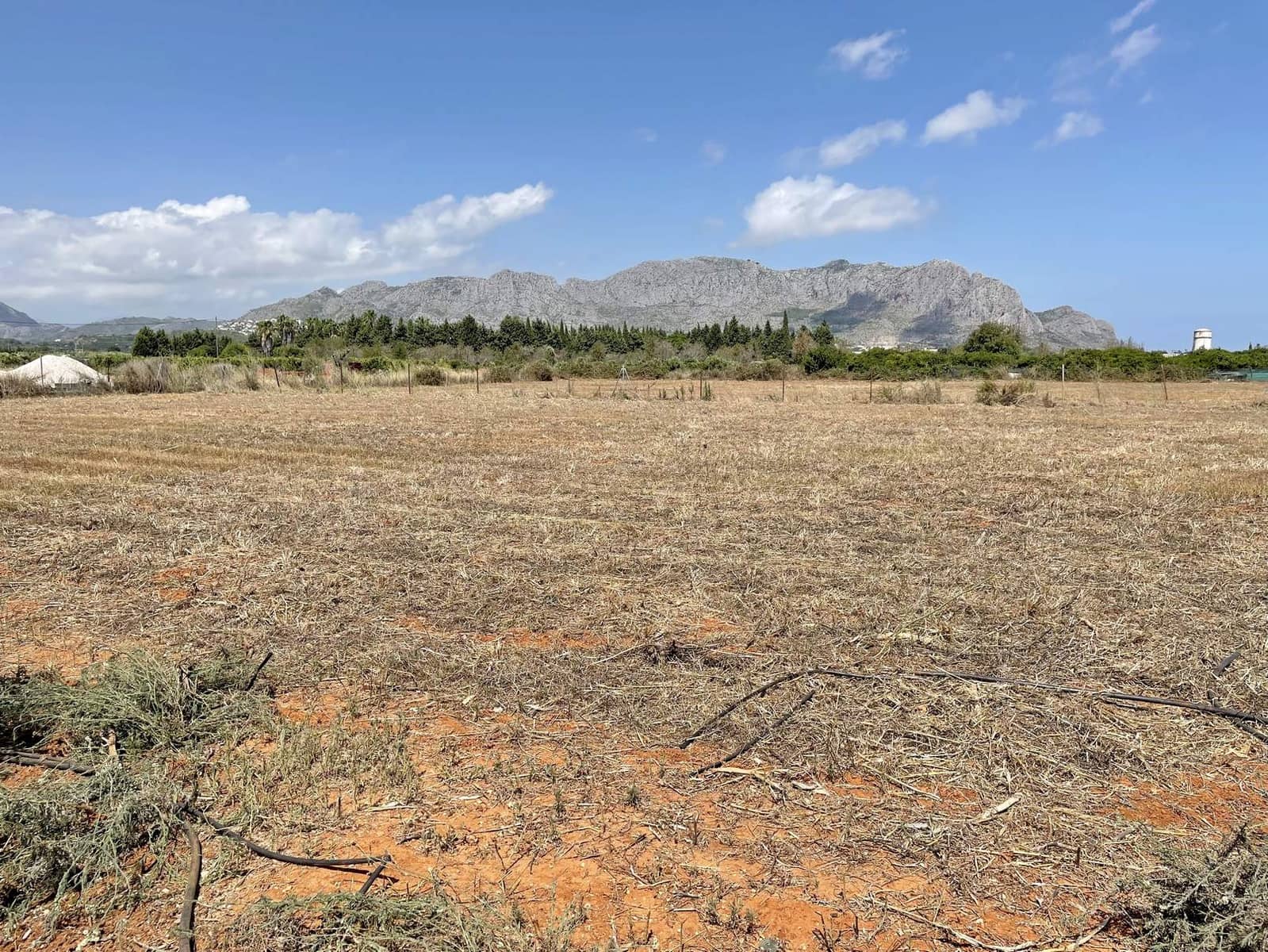 Byggetomt til salgs i Pedreguer - € 120 000 (Ref: 8245838)