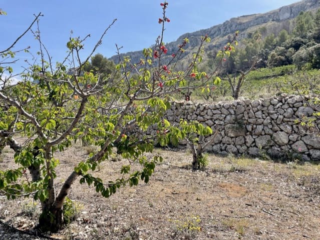 Bouwgrond te koop in Vall de Gallinera - € 66.000 (Ref: 9351204)