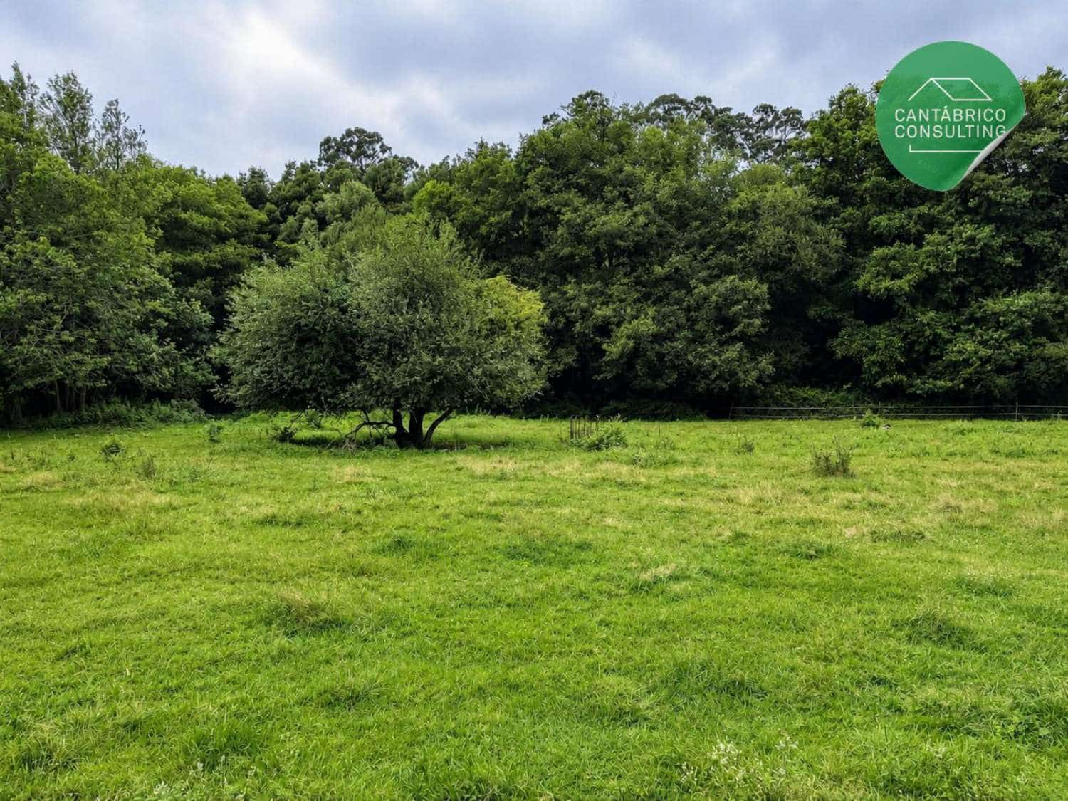 Finca/Maison de Campagne à vendre à El Franco - 250 000 € (Ref: 10025087)