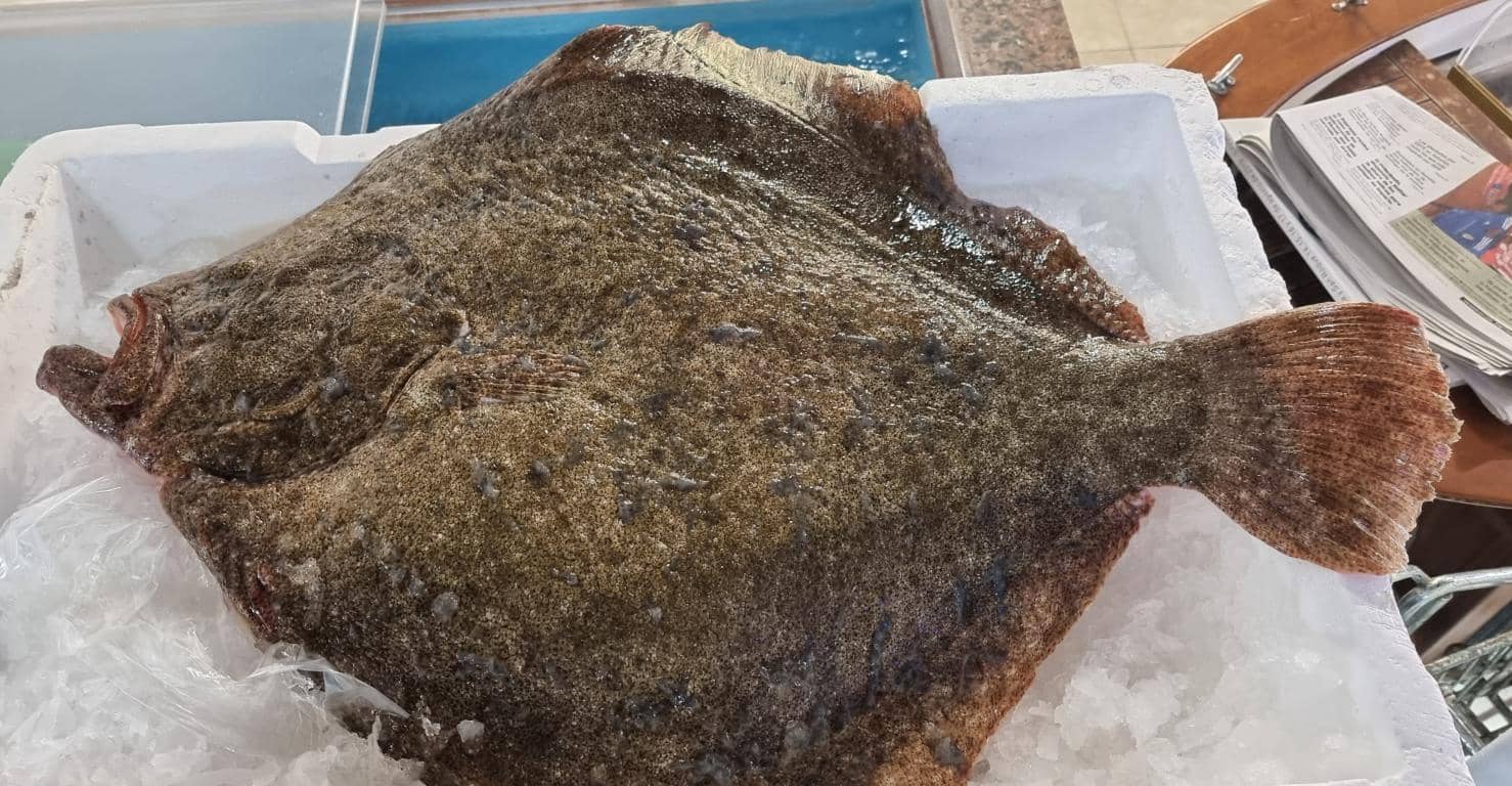 Restaurant/Bar til salg i Navia - € 500.000 (Ref: 8779931)