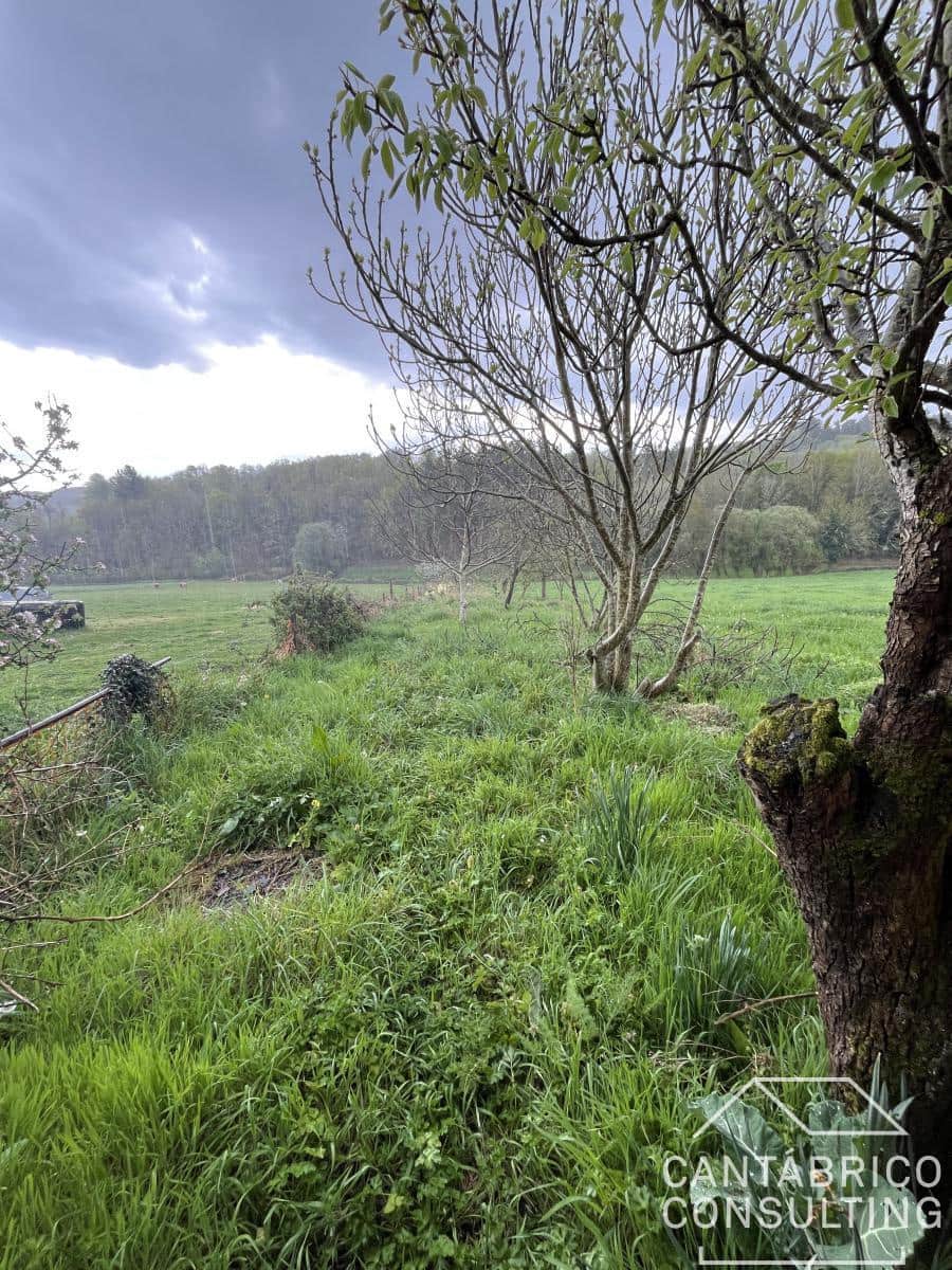 4 slaapkamer Rijtjeshuis te koop in San Martin de Oscos - € 60.000 (Ref: 8954108)