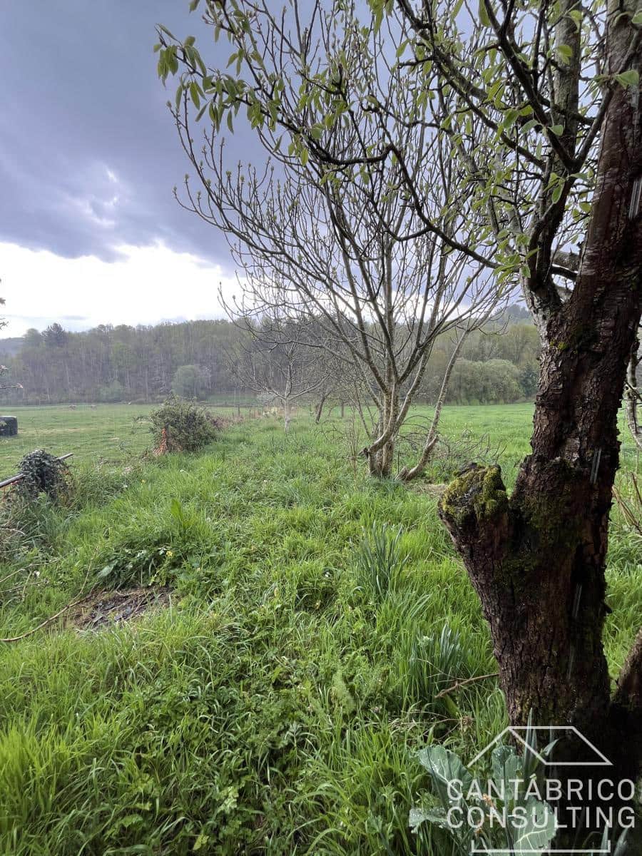 4 slaapkamer Rijtjeshuis te koop in San Martin de Oscos - € 60.000 (Ref: 8954108)