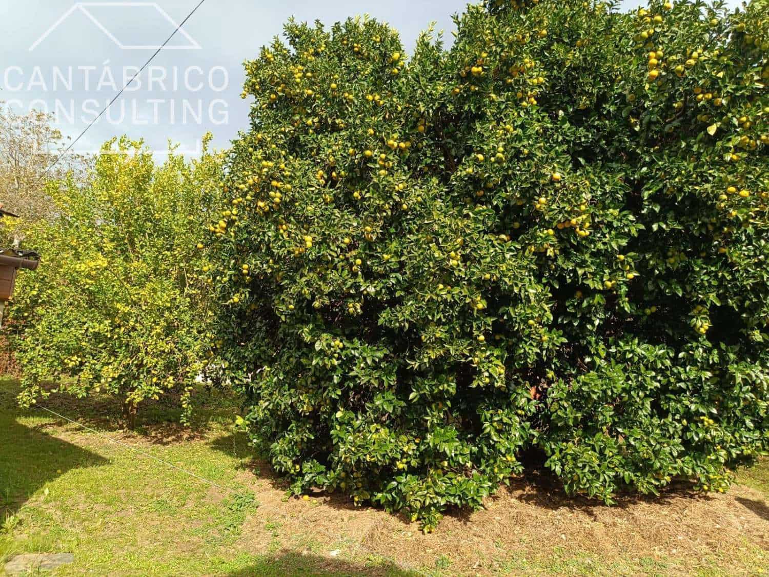 3 bedroom Townhouse for sale in Coana - € 150,000 (Ref: 9406264)