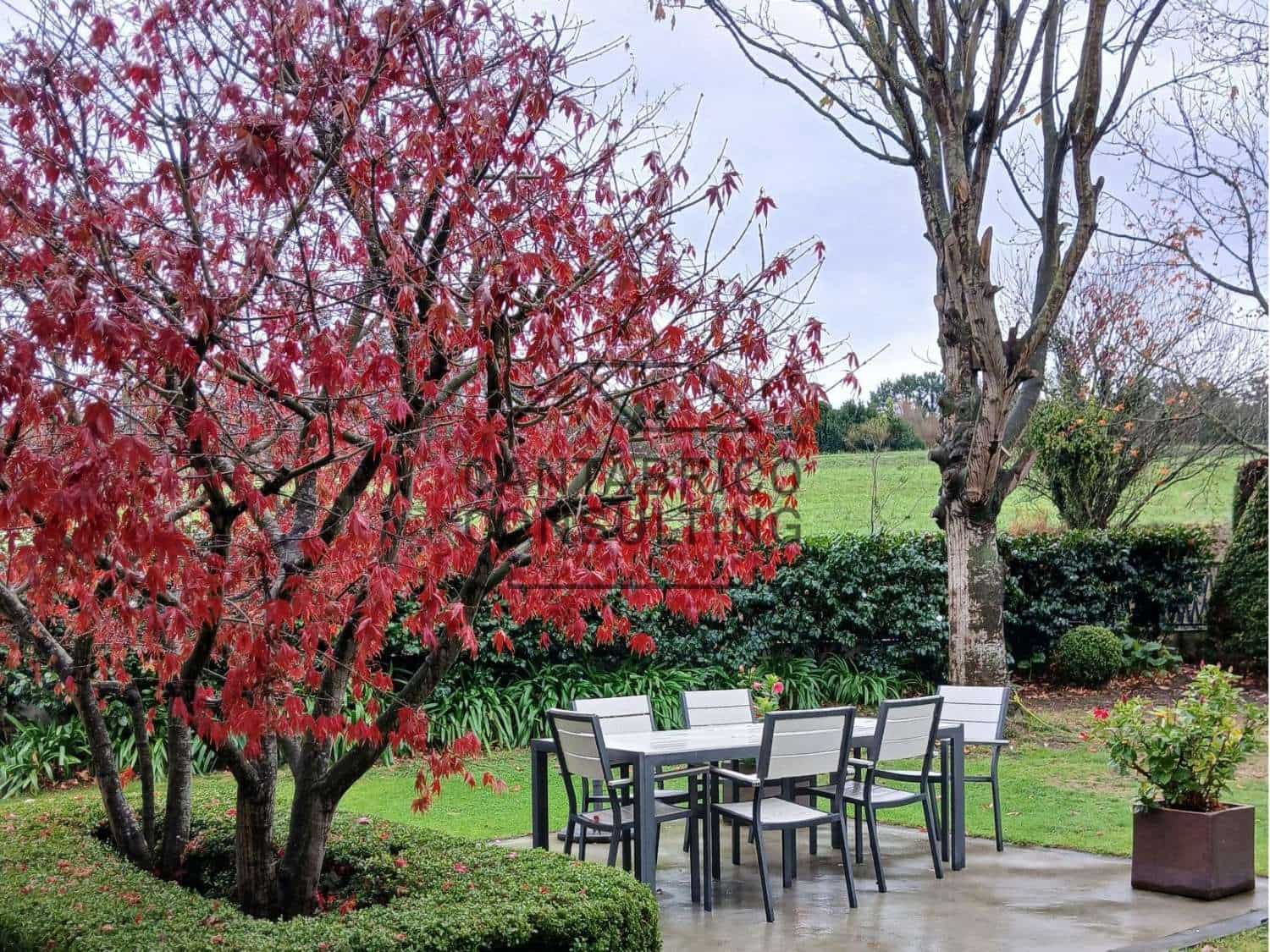 7 makuuhuone Huvila myytävänä paikassa Navia - 1 000 000 € (Ref: 9474684)