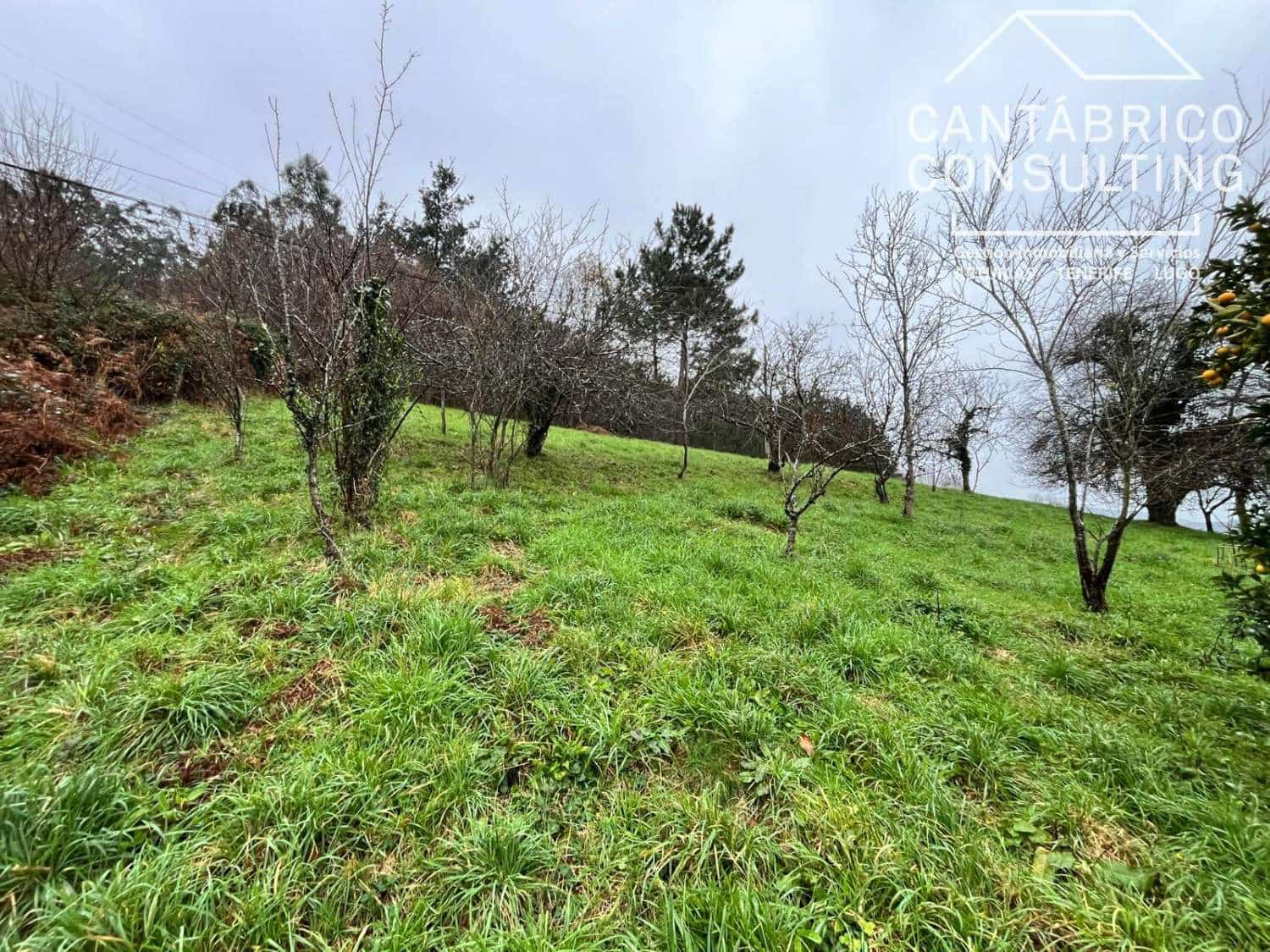 5 soveværelse Byhus til salg i Coana - € 138.000 (Ref: 9518467)