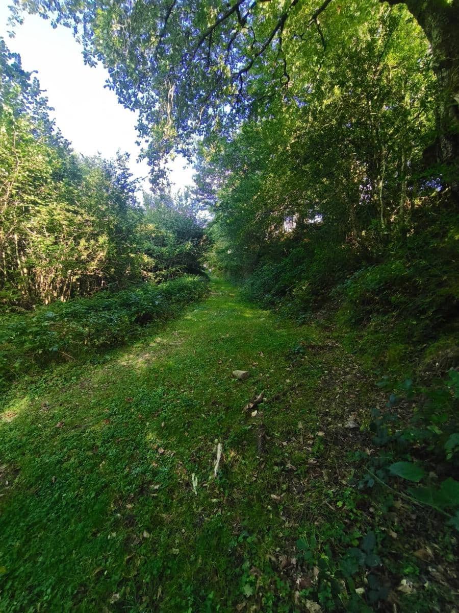 4 soveværelse Villa til salg i Rionansa - € 85.000 (Ref: 10109377)