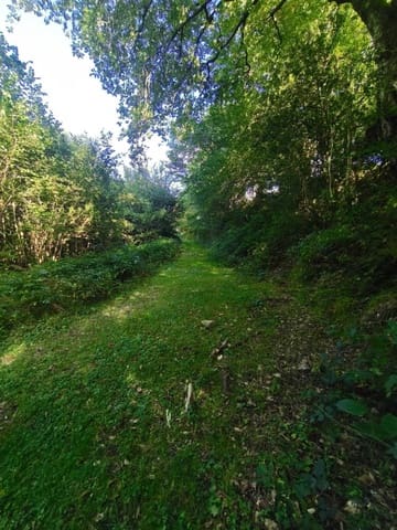 4 soveværelse Villa til salg i Rionansa - € 85.000 (Ref: 10109377)