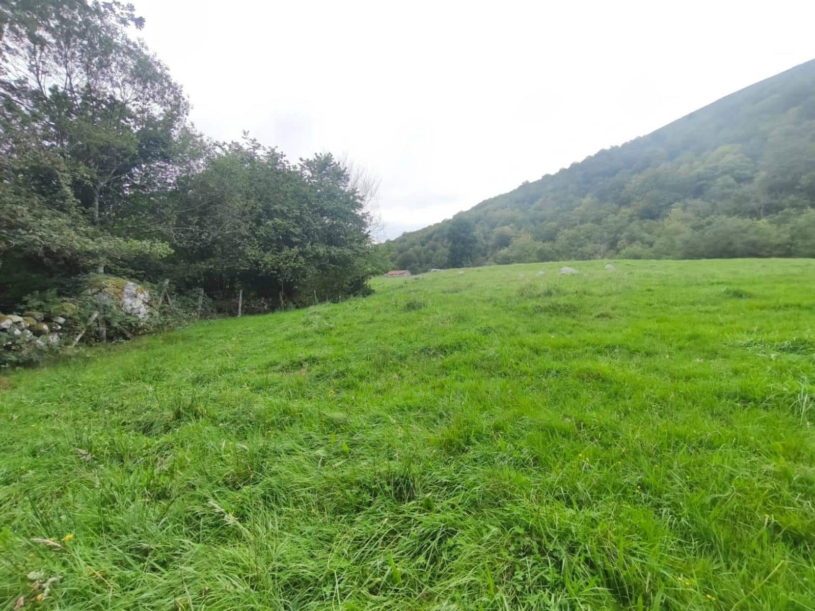 4 soveværelse Villa til salg i Rionansa - € 85.000 (Ref: 10109377)