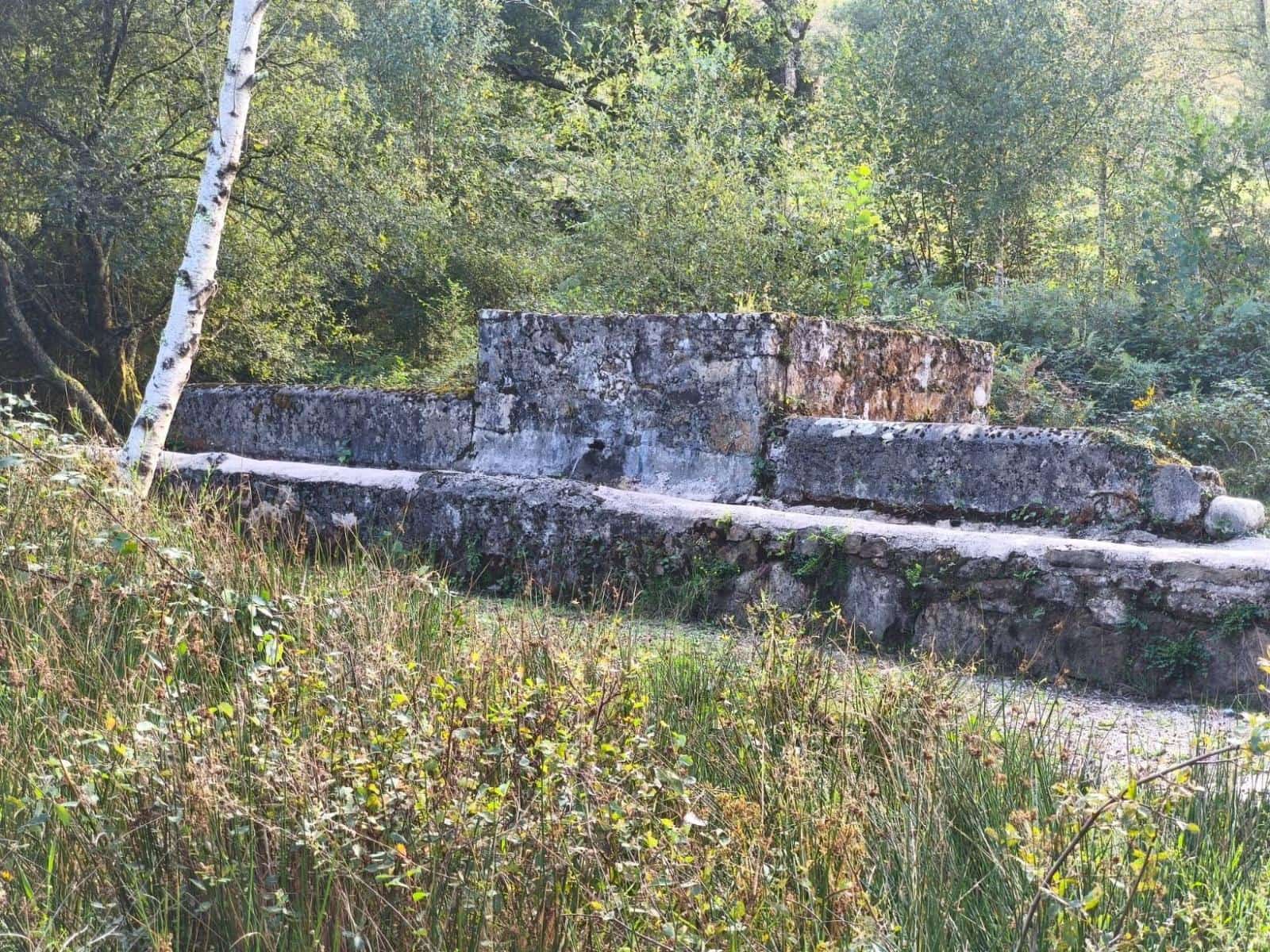 4 soveværelse Villa til salg i Rionansa - € 85.000 (Ref: 10109377)