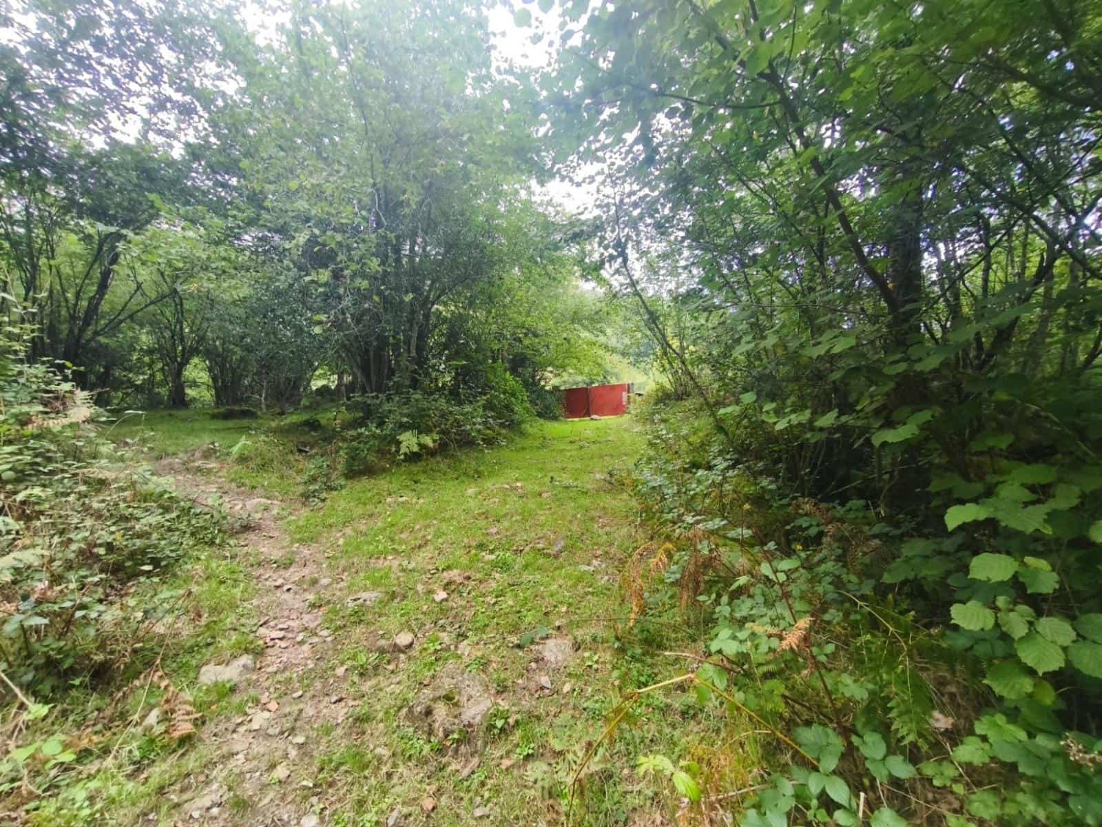4 soveværelse Villa til salg i Rionansa - € 85.000 (Ref: 10109377)
