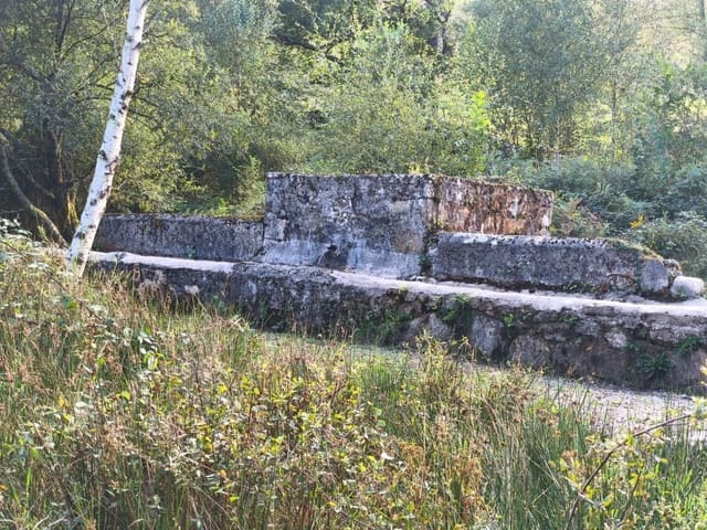 4 soveværelse Villa til salg i Rionansa - € 85.000 (Ref: 10109377)