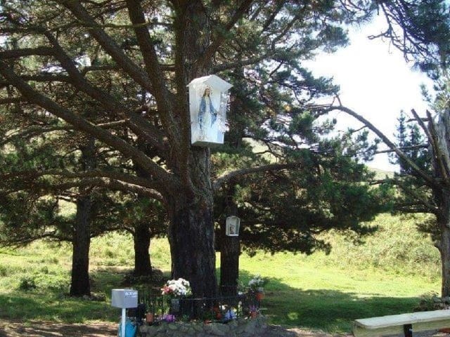 Undeveloped Land for sale in Rionansa - € 158,000 (Ref: 4732991)