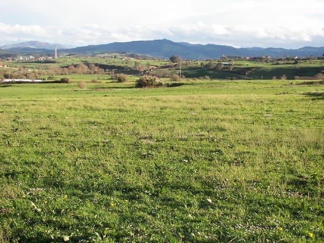 Bauplatz zu verkaufen in Suances - 100.000 € (Ref: 8089748)