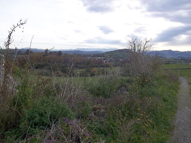 Bauplatz zu verkaufen in Santillana del Mar - 360.000 € (Ref: 8089749)