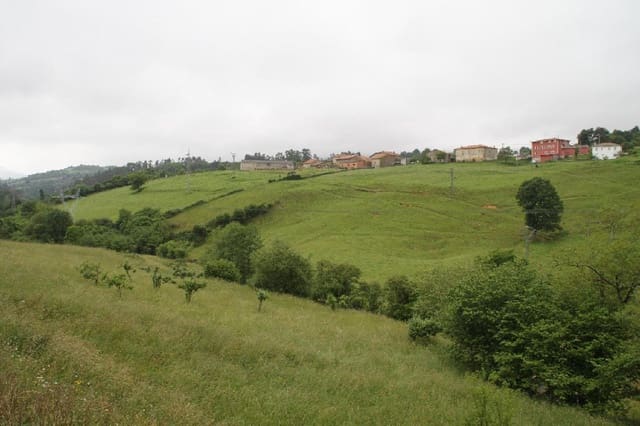 Area Edificabile in vendita in Herrerías - 300.000 € (Rif: 8089754)