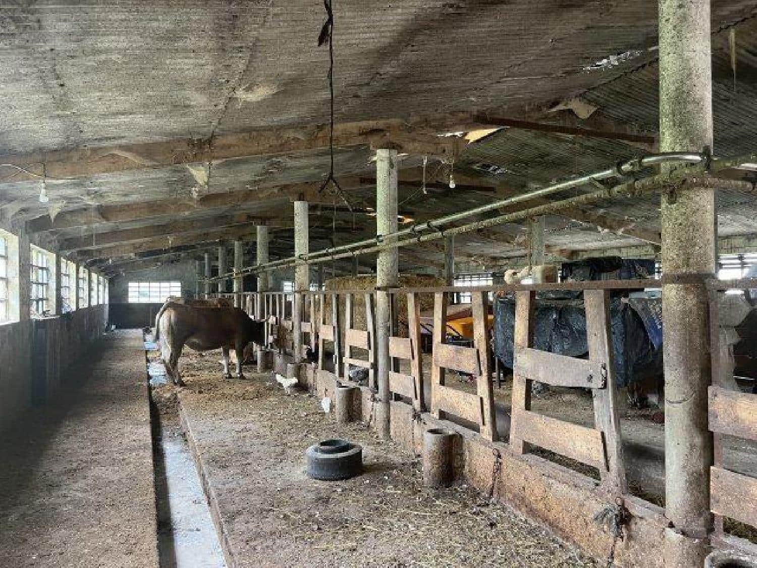 Byggegrund til salg i La Cavada - € 520.000 (Ref: 8089765)