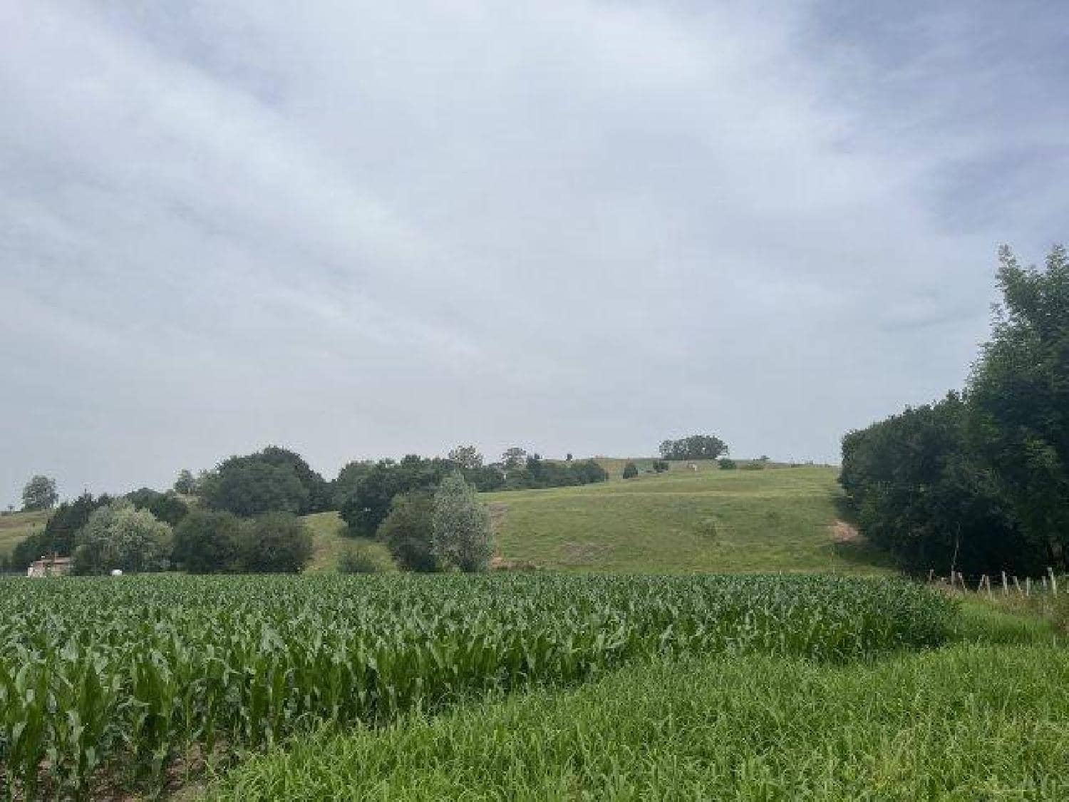 Byggegrund til salg i La Cavada - € 520.000 (Ref: 8089765)