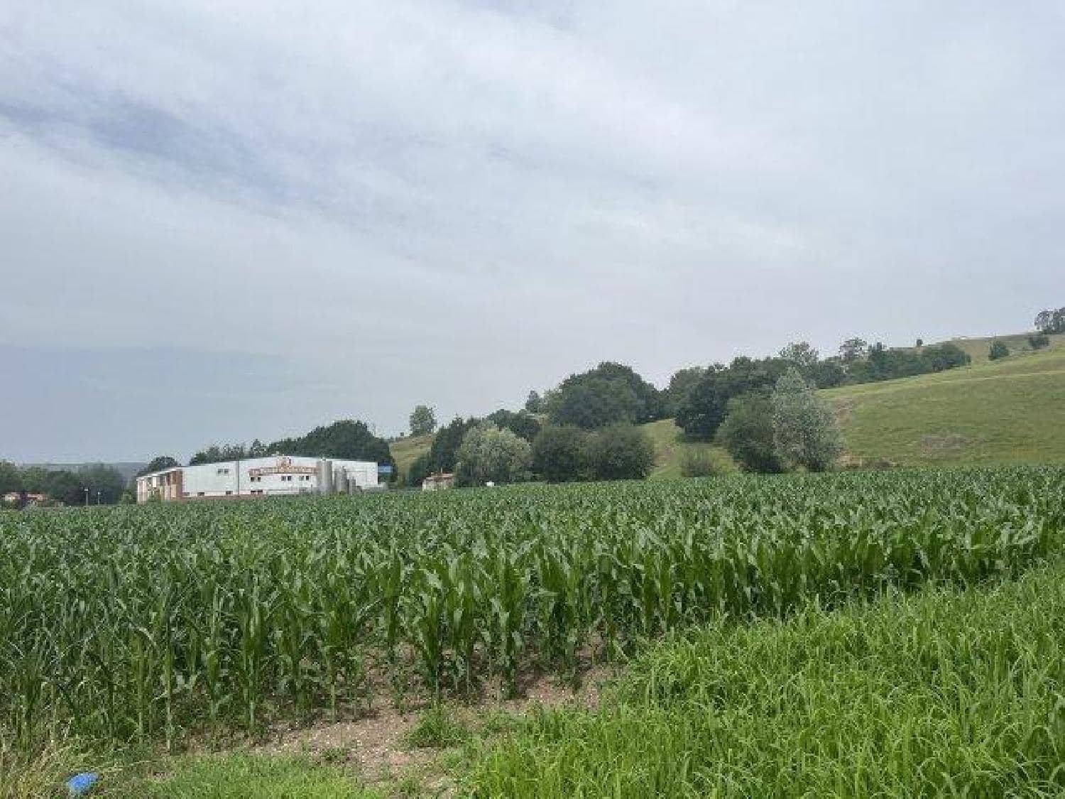 Byggegrund til salg i La Cavada - € 520.000 (Ref: 8089765)