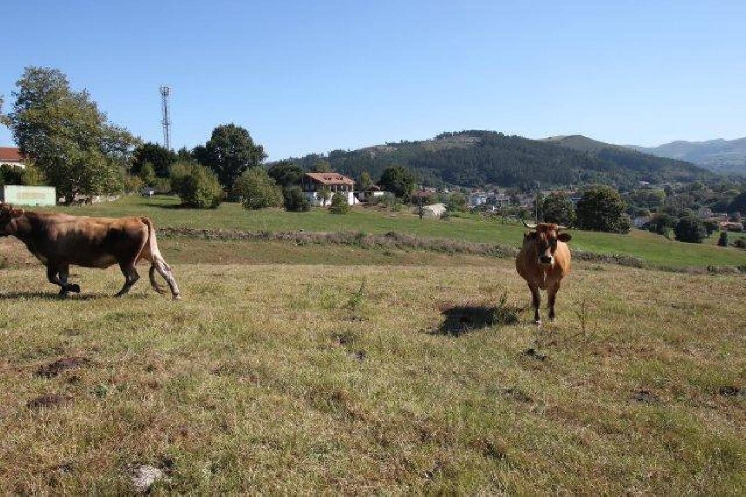 Byggegrund til salg i La Cavada - € 520.000 (Ref: 8089765)