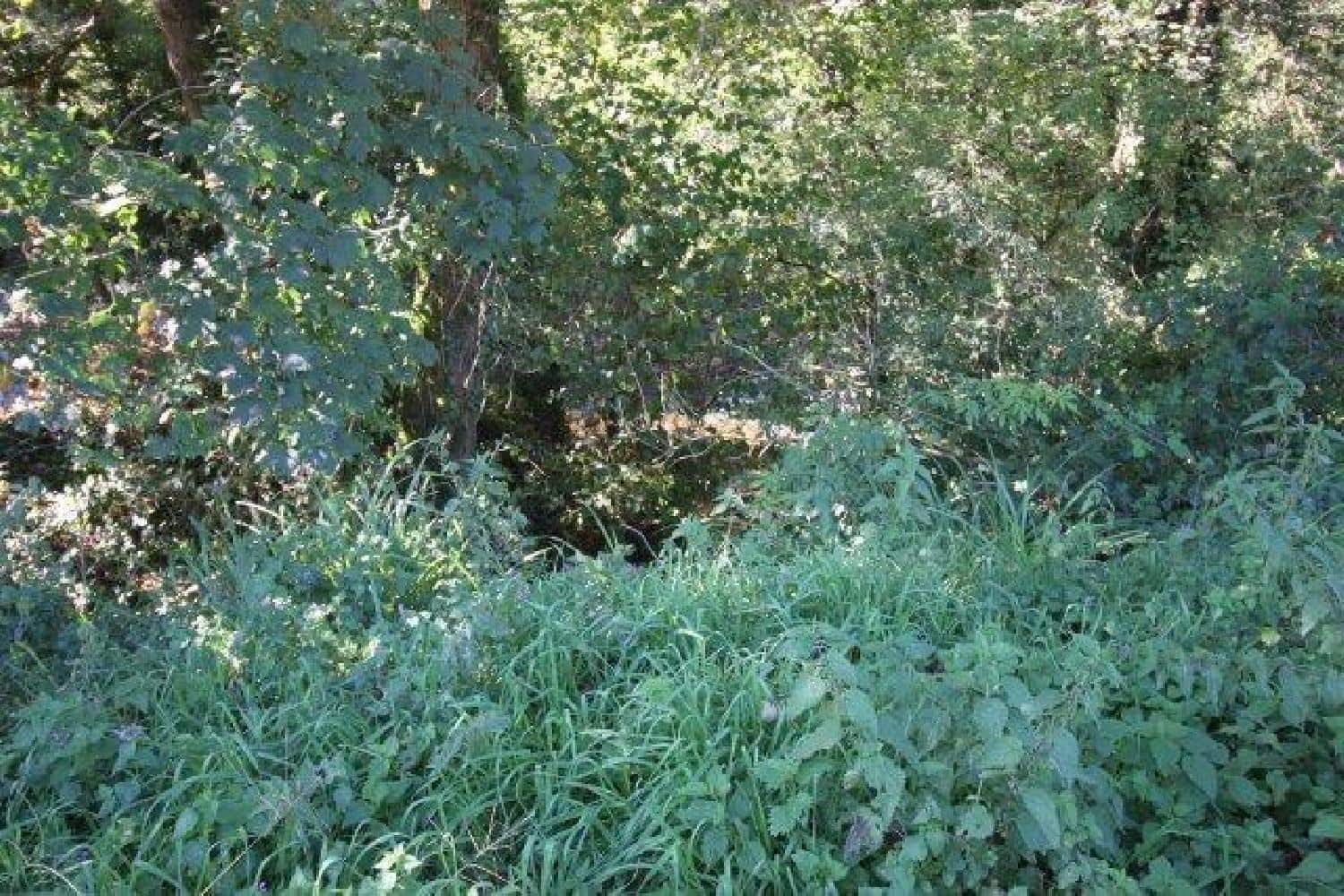 Byggegrund til salg i La Cavada - € 520.000 (Ref: 8089765)