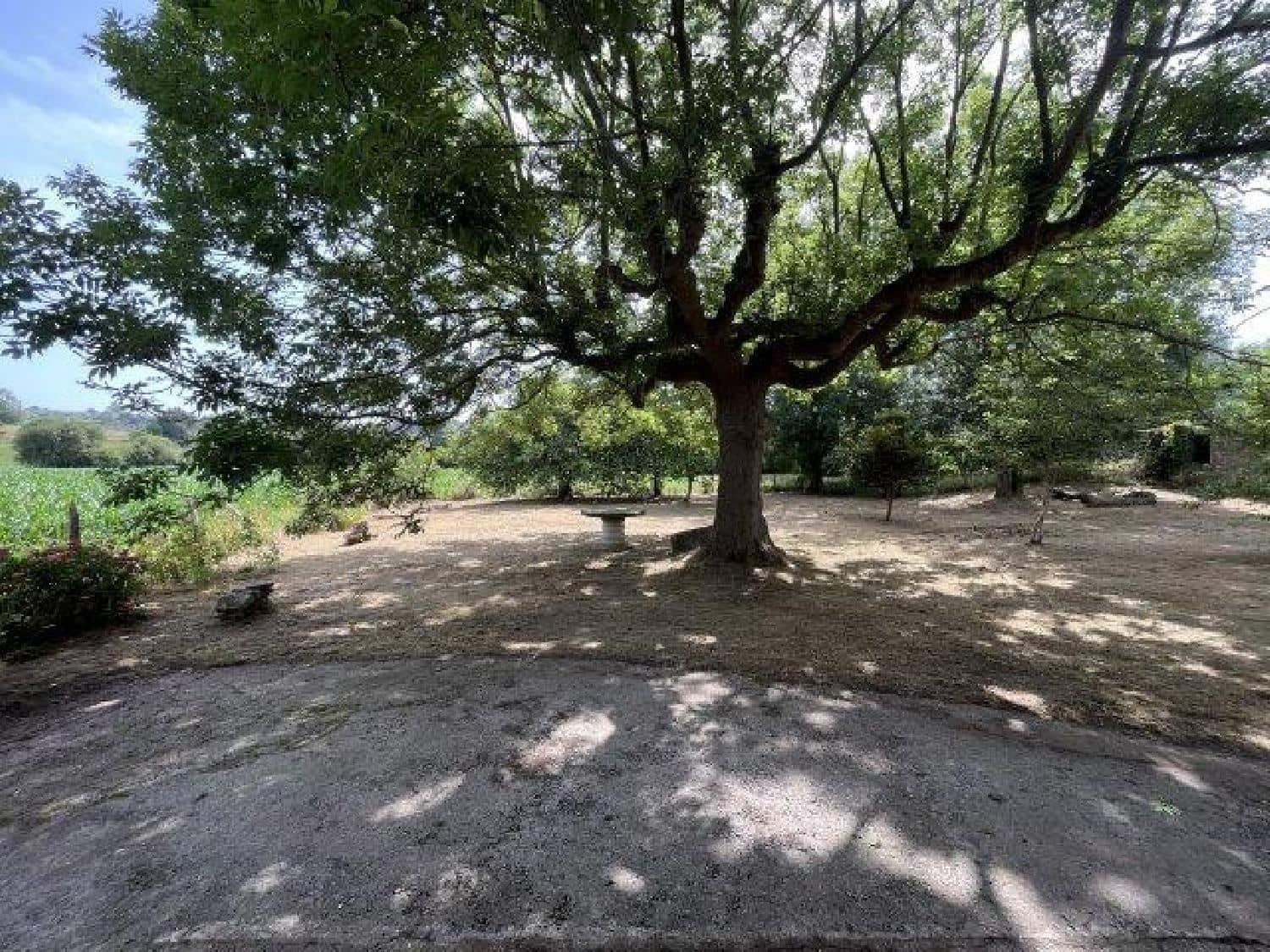 Byggegrund til salg i La Cavada - € 520.000 (Ref: 8089765)